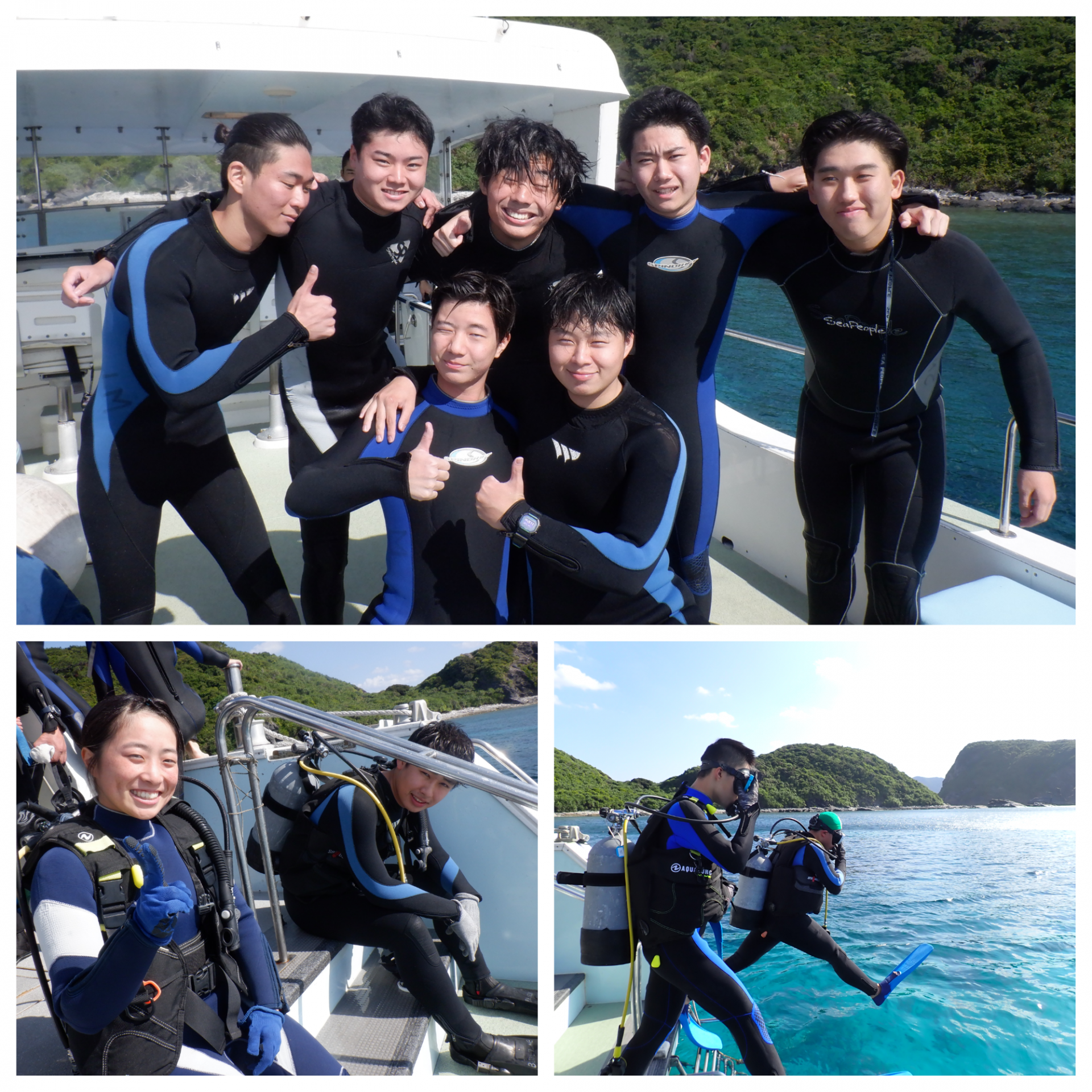 Blank 3 Grids Collage - 2025-12-06T174555.554